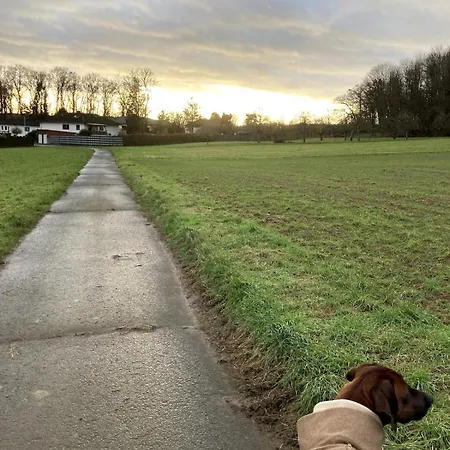 Urlaub Am Rande Des Vogelsbergs アパート Laubach